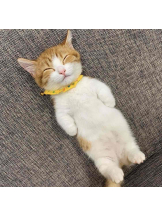 PURITY - らんの女の子ブログ画像