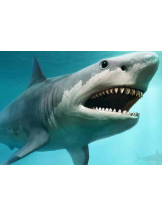 PURITY - らんの女の子ブログ画像