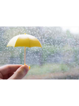 PURITY - らんの女の子ブログ画像