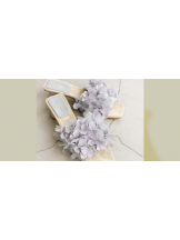 PURITY - らんの女の子ブログ画像