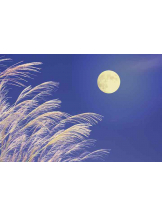 PURITY - らんの女の子ブログ画像