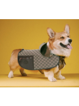 PURITY - らんの女の子ブログ画像