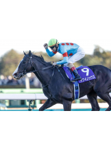 PURITY - らんの女の子ブログ画像