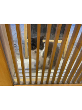 PURITY - らんの女の子ブログ画像