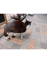 PURITY - らんの女の子ブログ画像