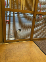 PURITY - らんの女の子ブログ画像