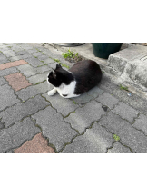 PURITY - らんの女の子ブログ画像