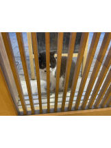 PURITY - らんの女の子ブログ画像