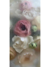 PURITY - らんの女の子ブログ画像