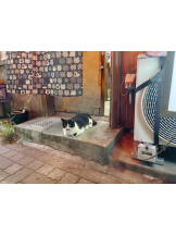 PURITY - らんの女の子ブログ画像