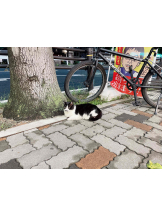 PURITY - らんの女の子ブログ画像