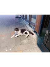 PURITY - らんの女の子ブログ画像