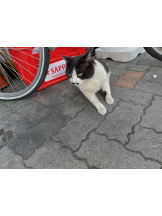 PURITY - らんの女の子ブログ画像