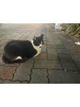 PURITY - らんの女の子ブログ画像