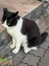 PURITY - らんの女の子ブログ画像