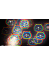 PURITY - らんの女の子ブログ画像