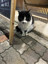 PURITY - らんの女の子ブログ画像