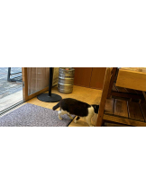 PURITY - らんの女の子ブログ画像