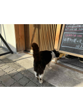 PURITY - らんの女の子ブログ画像