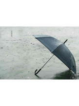 PURITY - らんの女の子ブログ画像