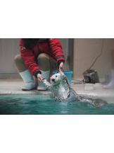 PURITY - らんの女の子ブログ画像