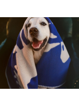 PURITY - らんの女の子ブログ画像