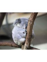 PURITY - らんの女の子ブログ画像