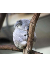 PURITY - らんの女の子ブログ画像