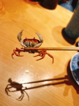 PURITY - らんの女の子ブログ画像