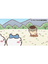 PURITY - らんの女の子ブログ画像