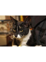 PURITY - らんの女の子ブログ画像