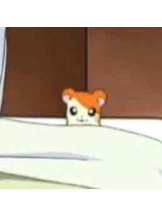 PURITY - らんの女の子ブログ画像