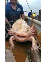 PURITY - らんの女の子ブログ画像