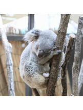 PURITY - らんの女の子ブログ画像