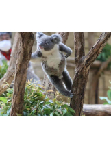 PURITY - らんの女の子ブログ画像