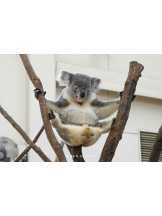 PURITY - らんの女の子ブログ画像