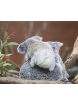 PURITY - らんの女の子ブログ画像