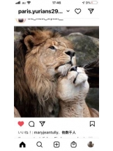 PURITY - セリーヌの女の子ブログ画像