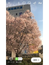 PURITY - セリーヌの女の子ブログ画像