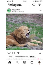 PURITY - セリーヌの女の子ブログ画像