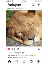 PURITY - セリーヌの女の子ブログ画像