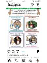 PURITY - セリーヌの女の子ブログ画像