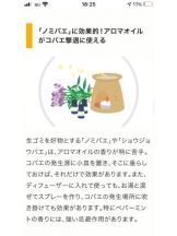 PURITY - セリーヌの女の子ブログ画像