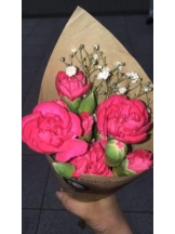 PURITY - セリーヌの女の子ブログ画像