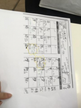 PURITY - セリーヌの女の子ブログ画像