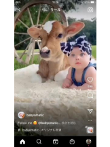 PURITY - セリーヌの女の子ブログ画像