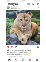 PURITY - セリーヌの女の子ブログ画像