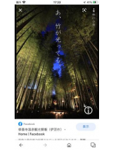 PURITY - セリーヌの女の子ブログ画像