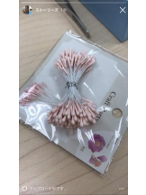 PURITY - セリーヌの女の子ブログ画像