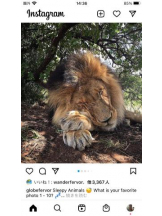 PURITY - セリーヌの女の子ブログ画像